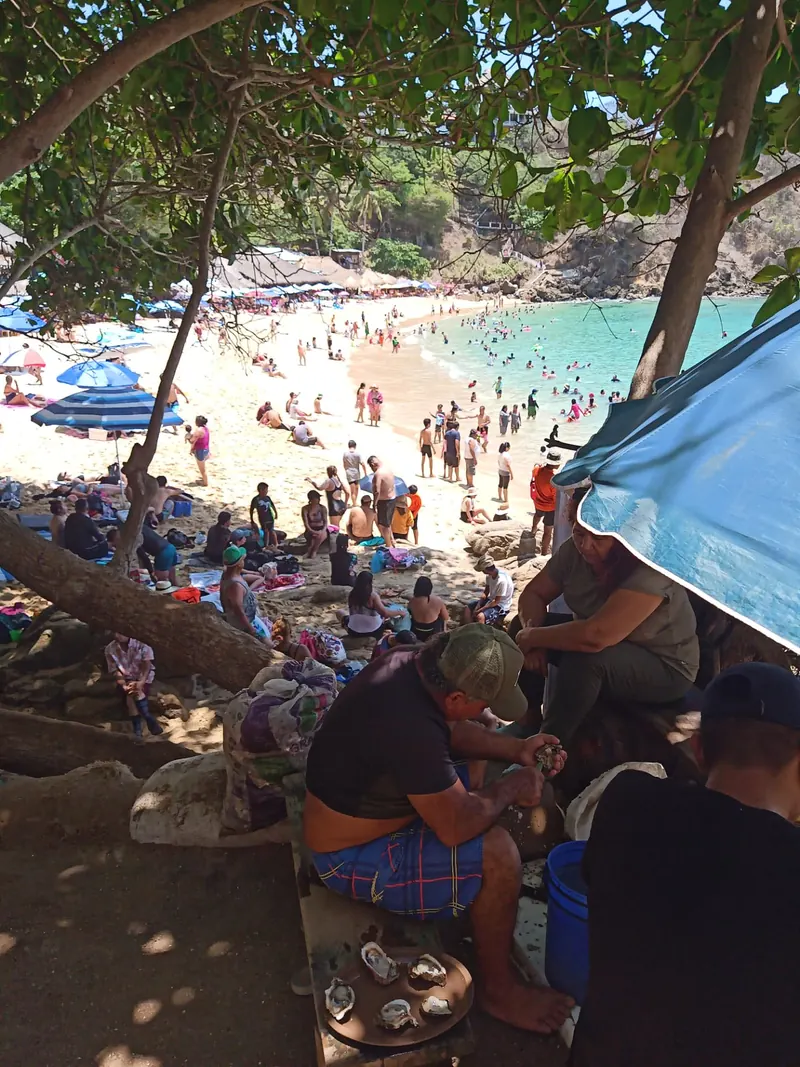 The beach at Playa Carrizalillo in Puerto Escondido seen from under the trees, full of swimmers and umbrellas